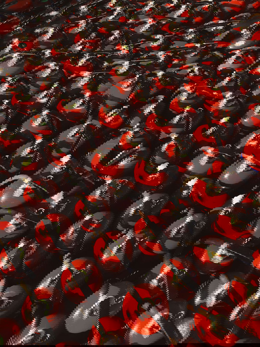 red and black ceramic mugs on black steel rack